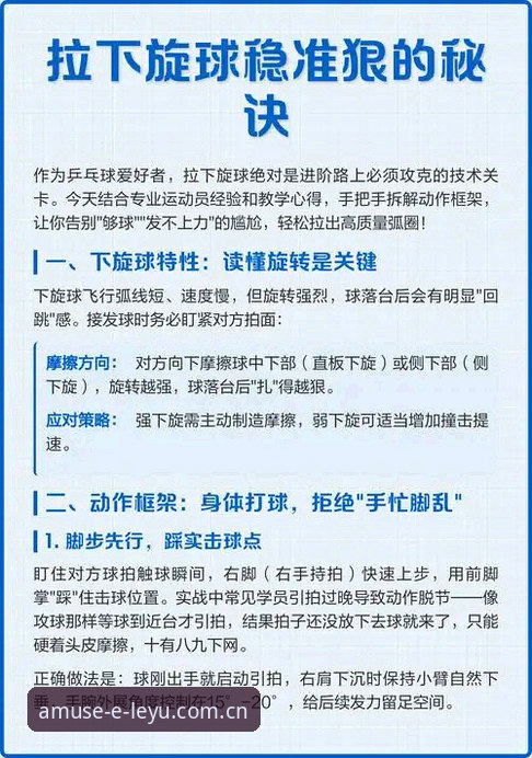 揭秘乐鱼体育平台多元互动教程背后的高效玩法