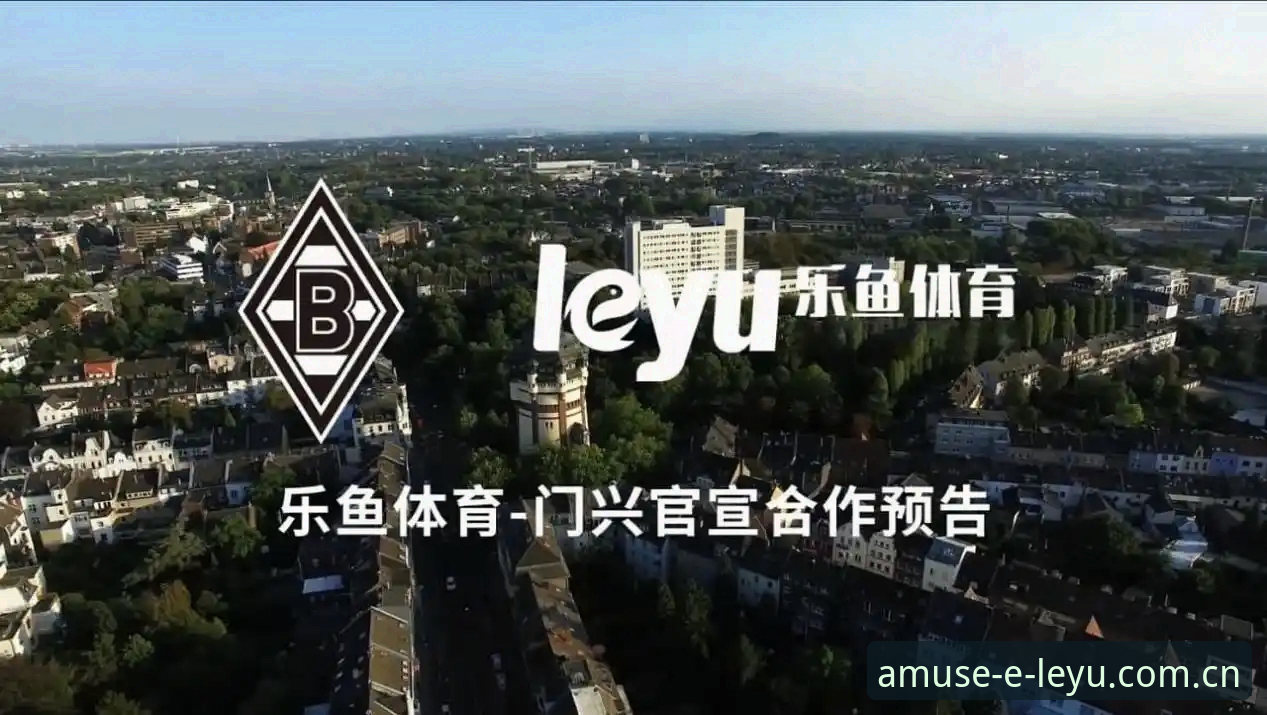 乐鱼体育平台投资安全验证教程 · 专业分析师带你拆解核心风险点